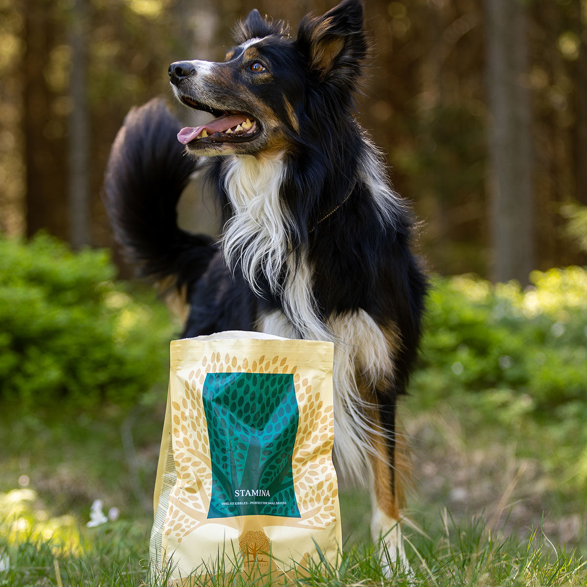 ESSENTIAL STAMINA SMALL BREED 2,5kg